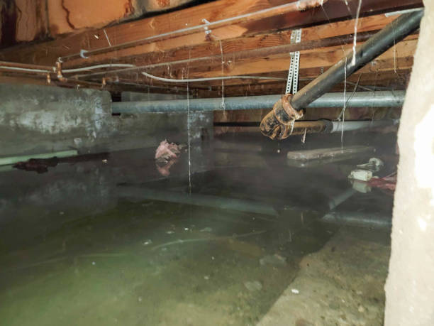 Best Fire Damage Restoration  in Ithaca, NY