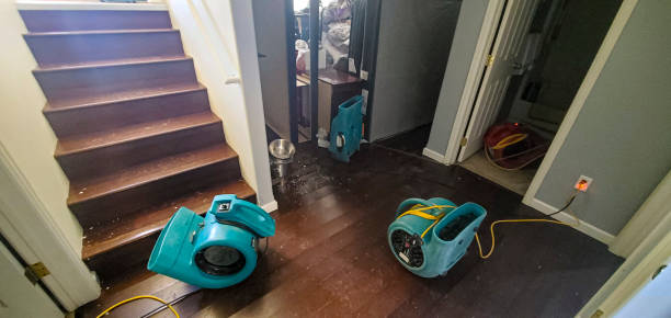 Best Basement water damage restoration  in Ithaca, NY