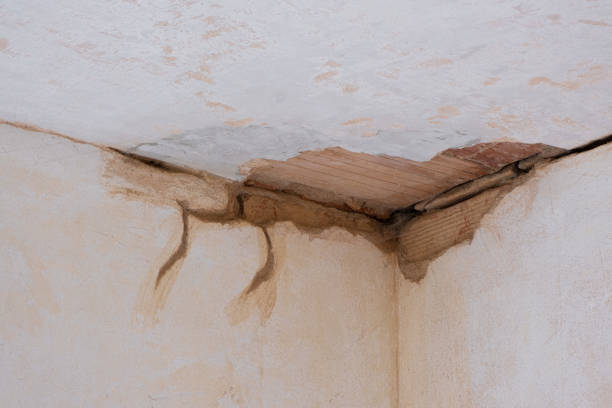 Best Local water damage restoration  in Ithaca, NY