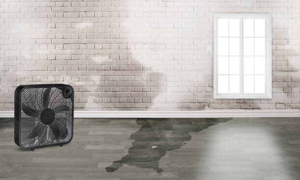 24/7 water damage repair in Ithaca, NY