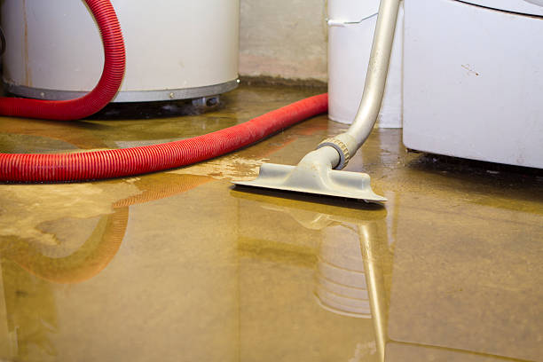Best Water damage restoration near me  in Ithaca, NY