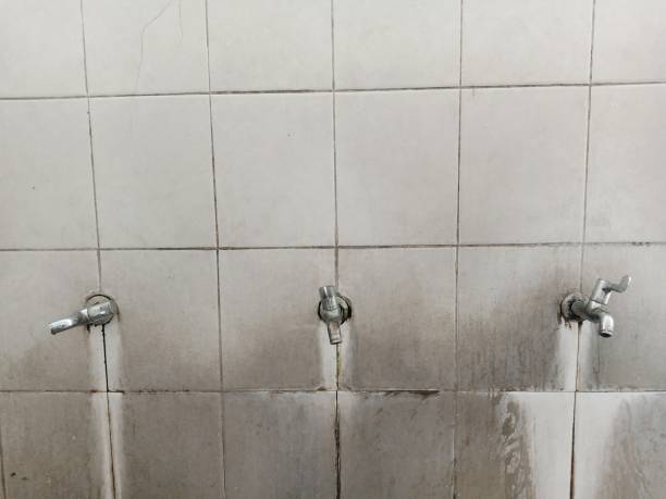 Best Commercial water damage restoration  in Ithaca, NY