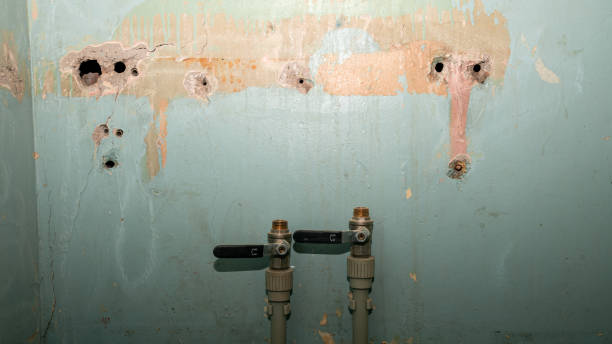 Best Residential water damage restoration  in Ithaca, NY