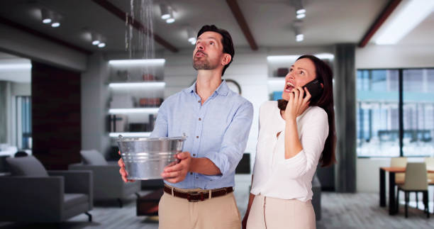 Best Flood damage cleanup  in Ithaca, NY