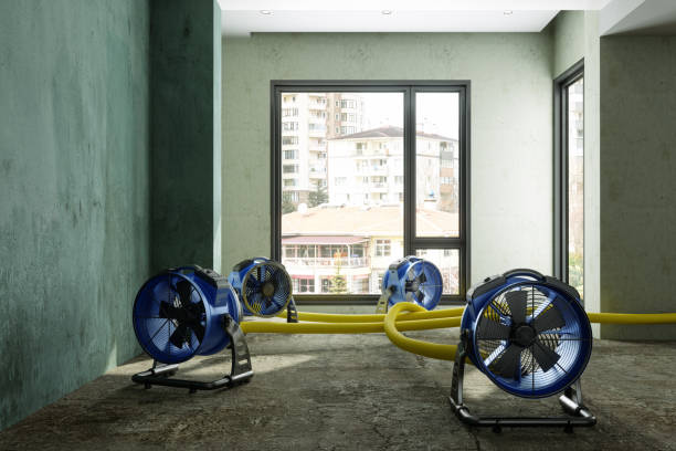 Best Water damage contractors near me  in Ithaca, NY
